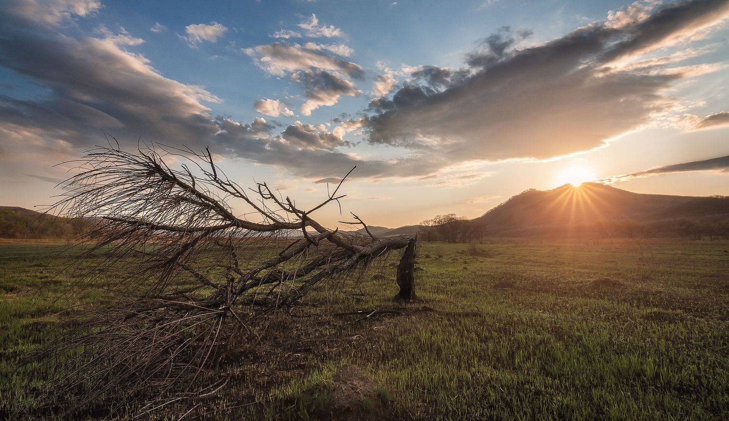 , Шинкарева Елена