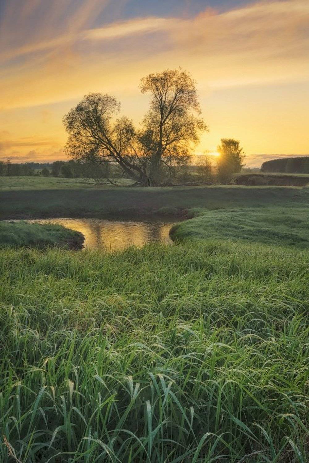 , Дмитрий Медянцев