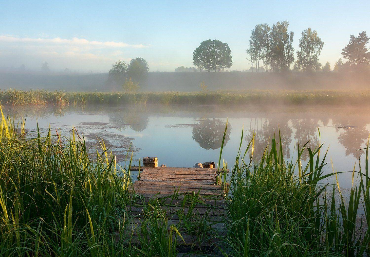 , Владимир Перепечаев