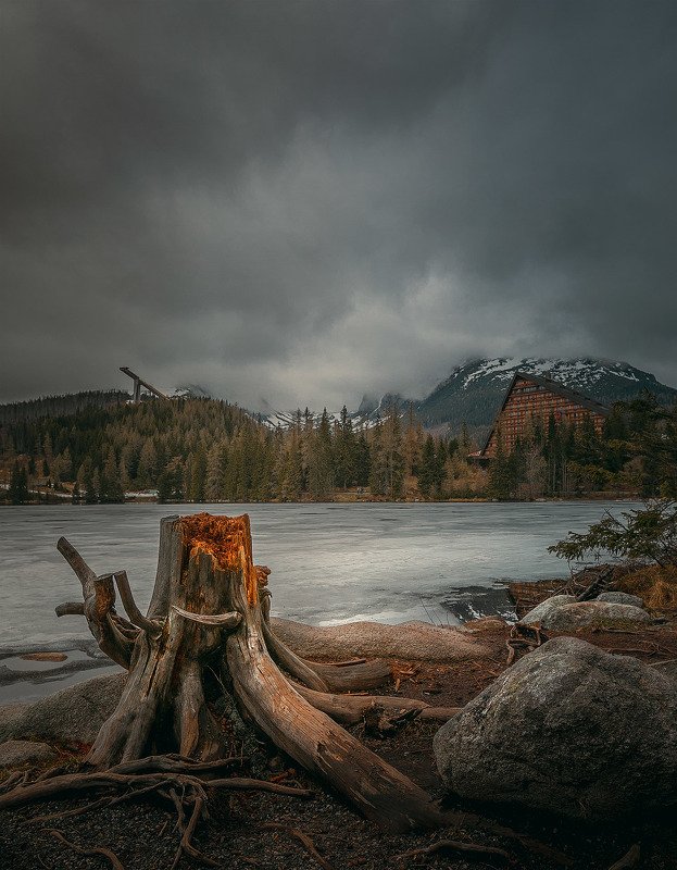 Известный пеньок) фото превью