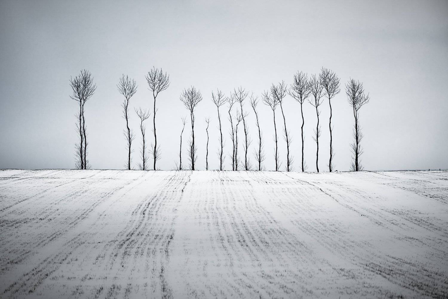 , Figat Marcin