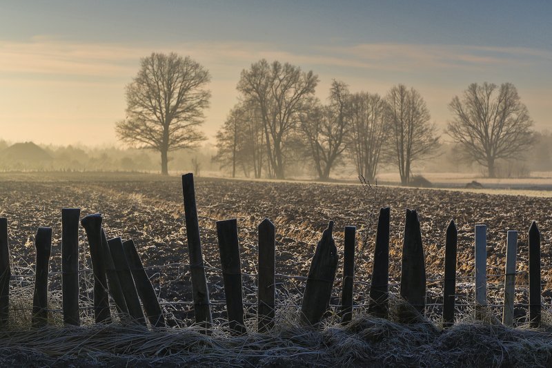 Wieliszew фото превью