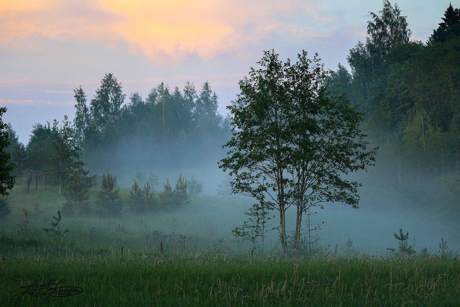 запах дождя, Инга Иванова