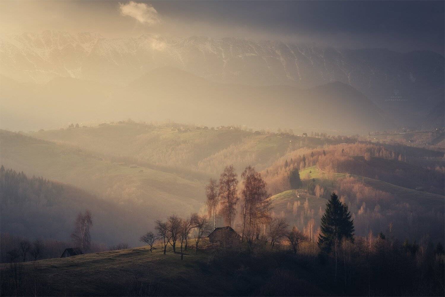 , Дмитрий Купрацевич