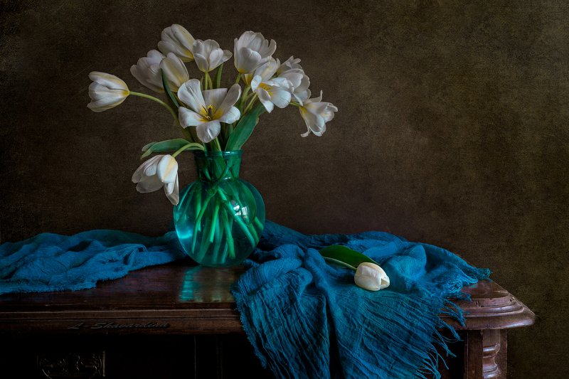 Белые тюльпаны фото превью