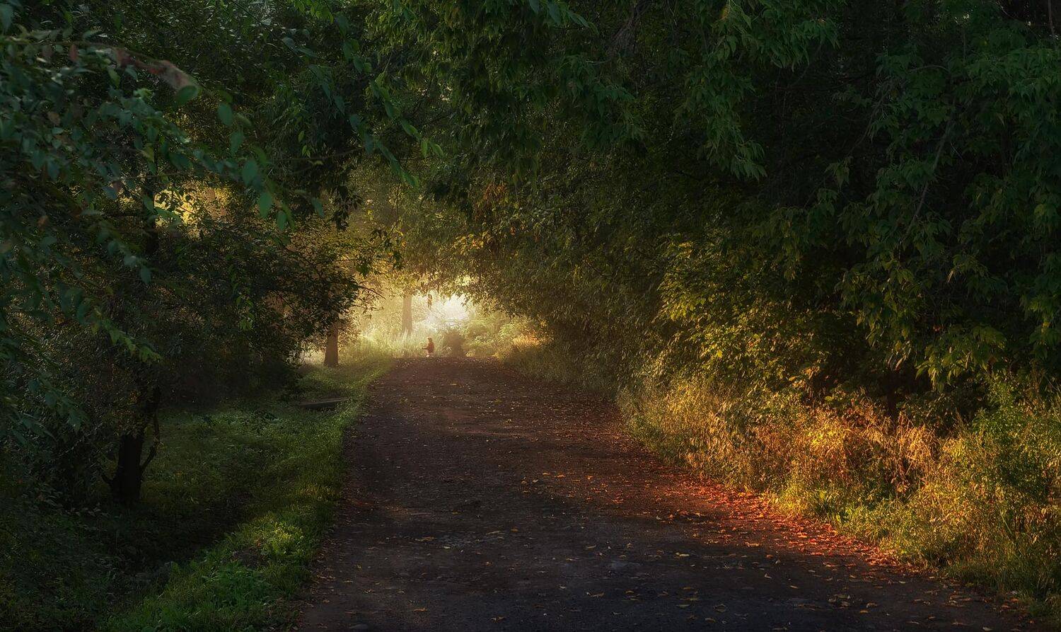 утро, осень, сентябрь, свет, дорога, приморский край, село, Евгений Паршуков
