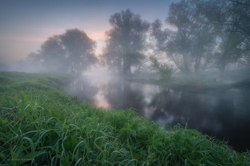 Предрассветная майская нега...