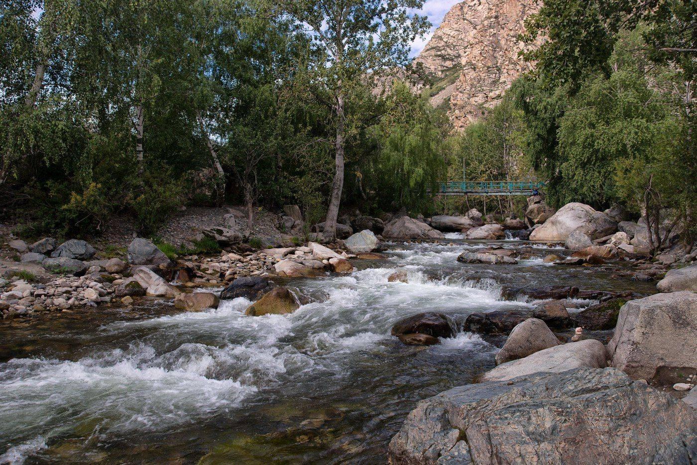 , Николай Ляпин