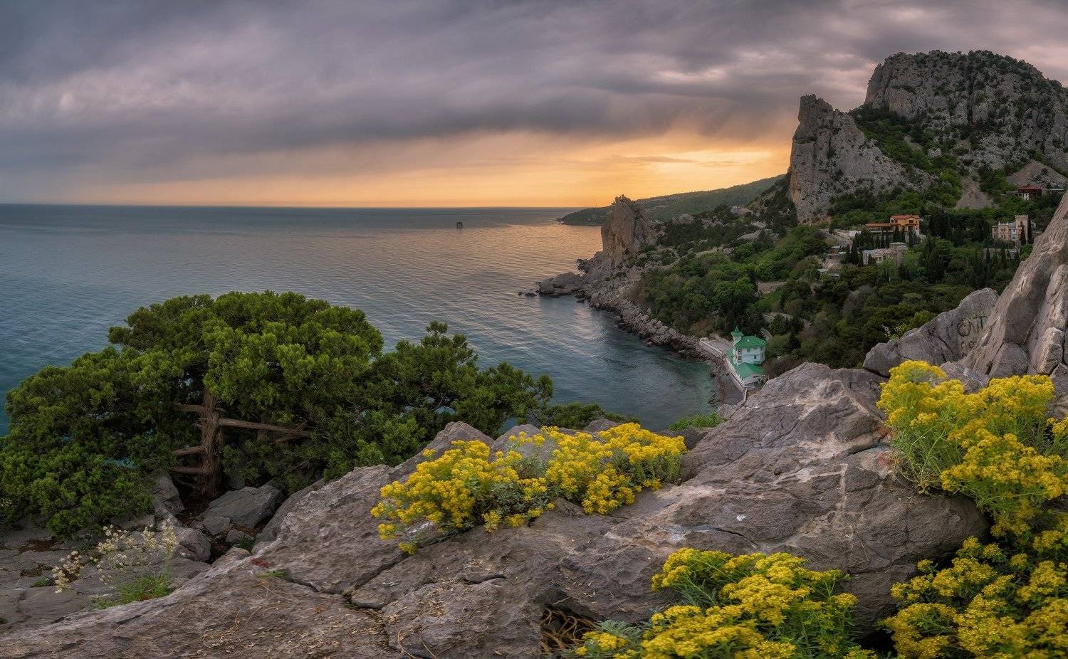 крым, симеиз, гора, кошка, весна, май,, Николай Мысливцев