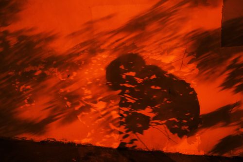 Пламенеющая тень