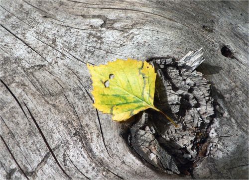 Маски сброшены