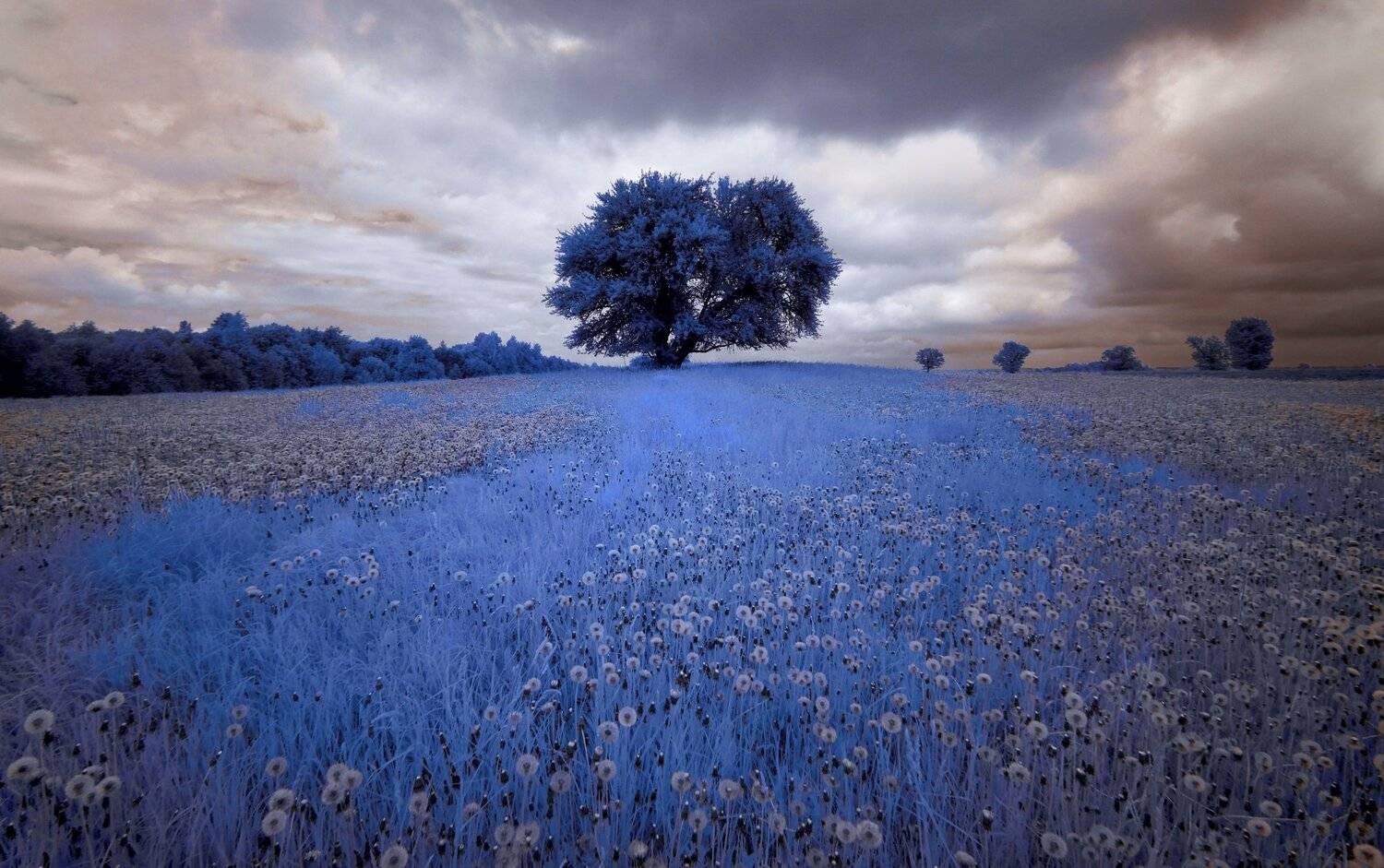 infrared,ик-фото,инфракрасное фото, инфракрасная фотография, пейзаж, весна, Sixten ( Сергей )