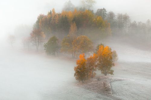 Frosty Autumn Days...
