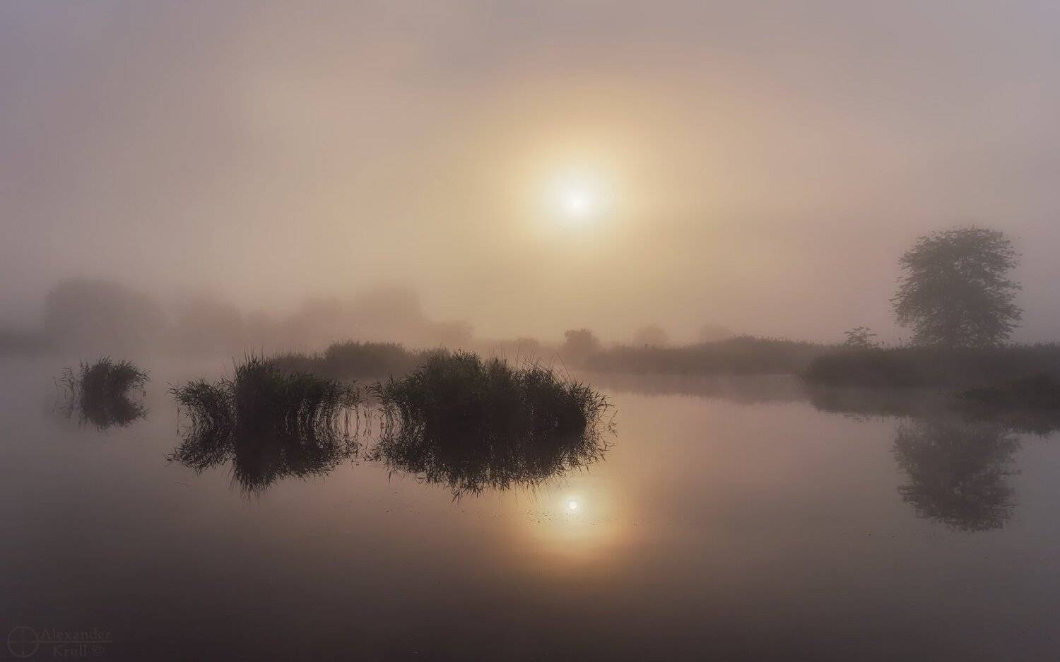 , Александр Круль