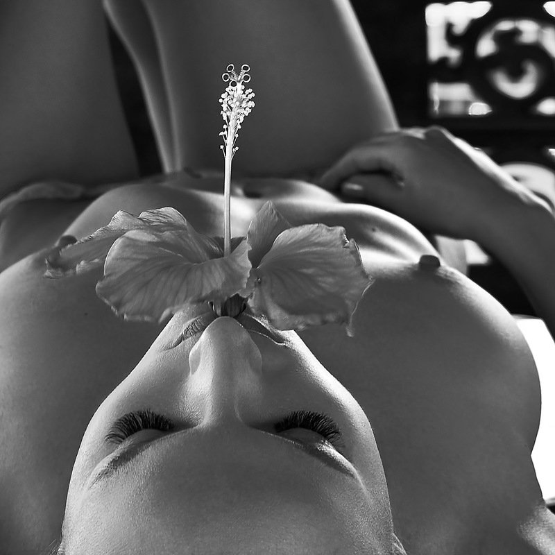 barongclub, nude art, nude photography, nude, girl, muse, beauty, body, photography, nu Hibiscus фото превью