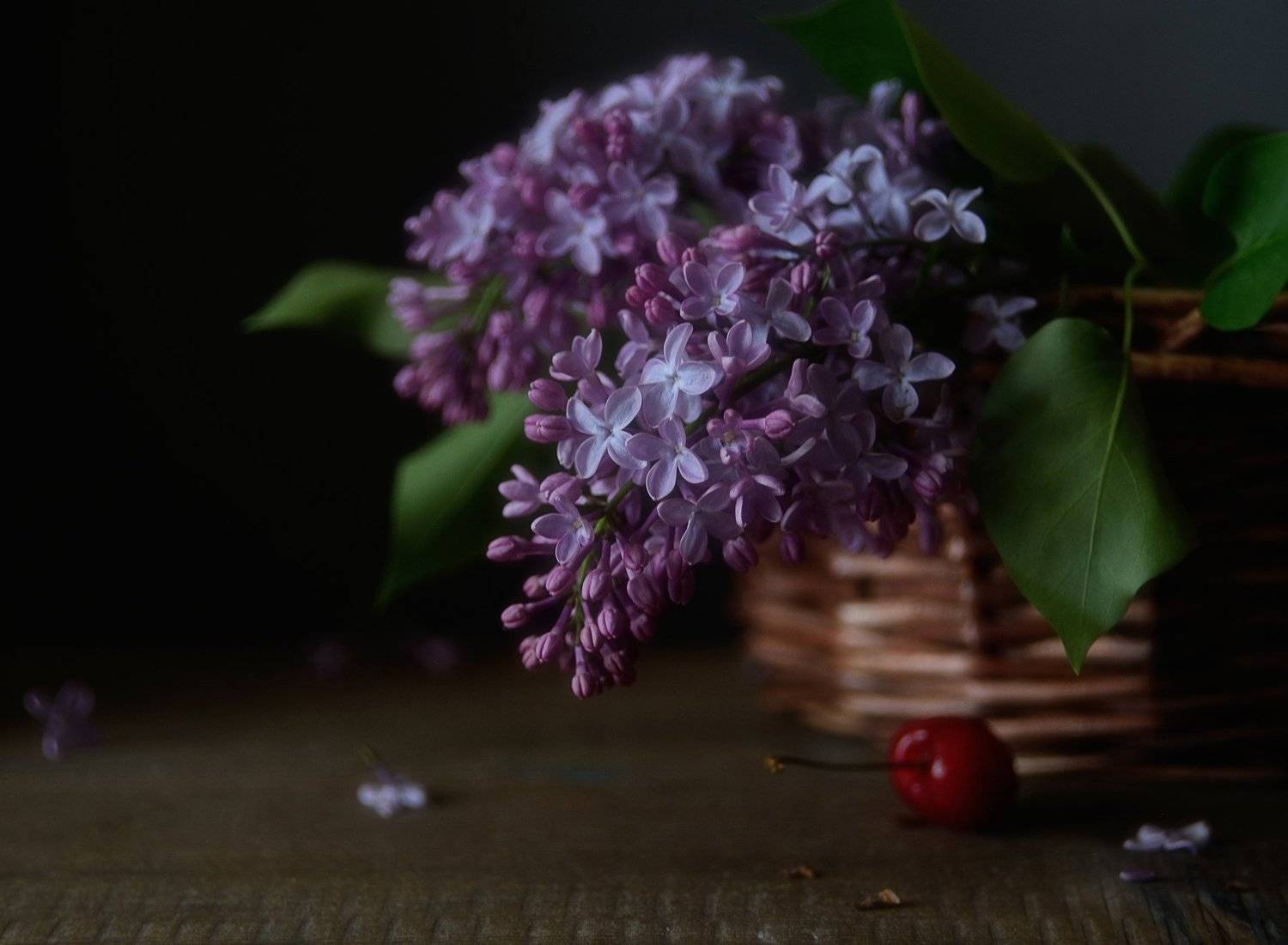 натюрморт,сирень, Наталия К