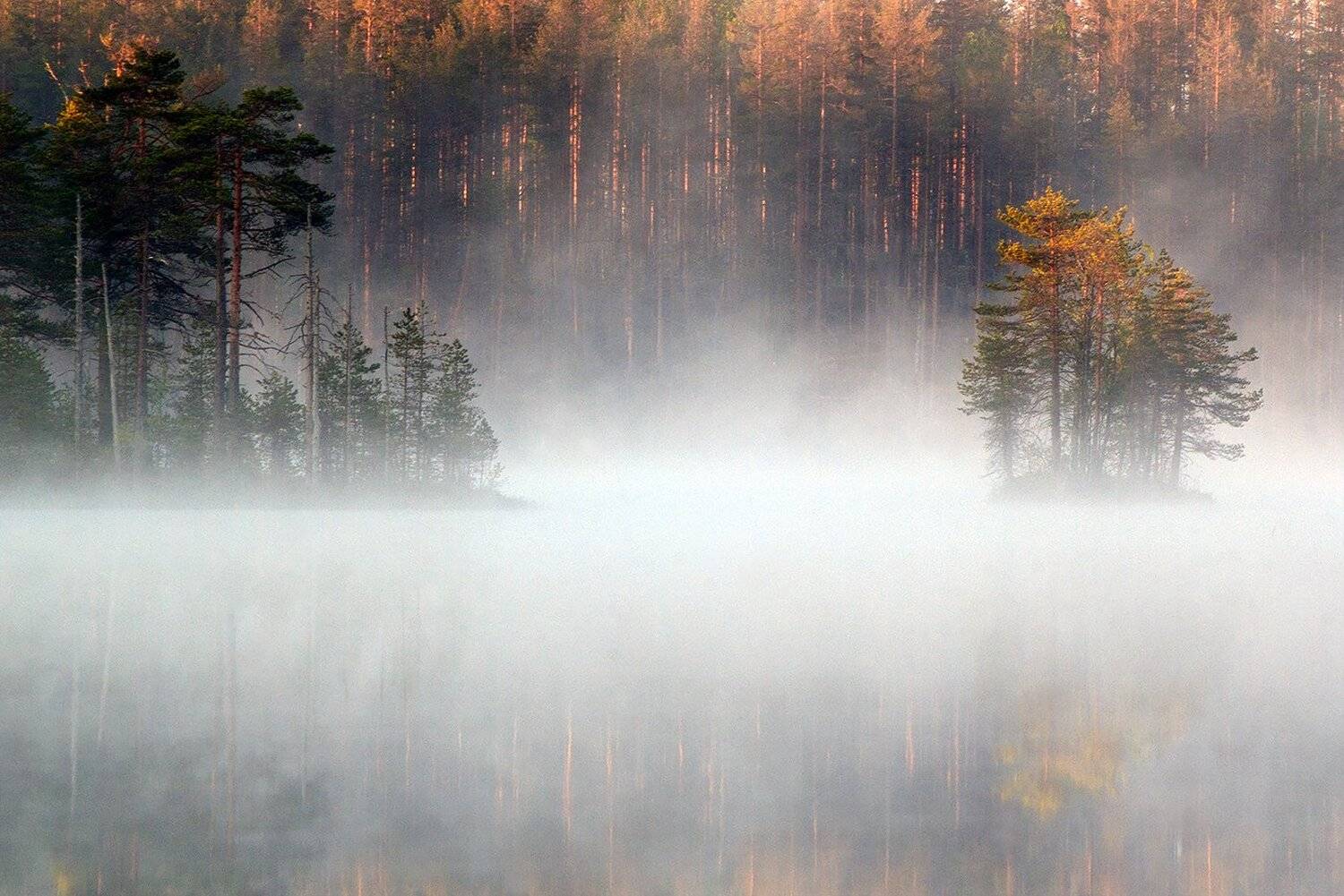 карелия, Виктор