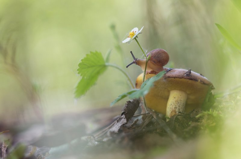 Утро фото превью