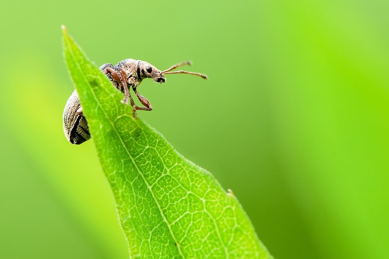 Улететь на небо фото превью