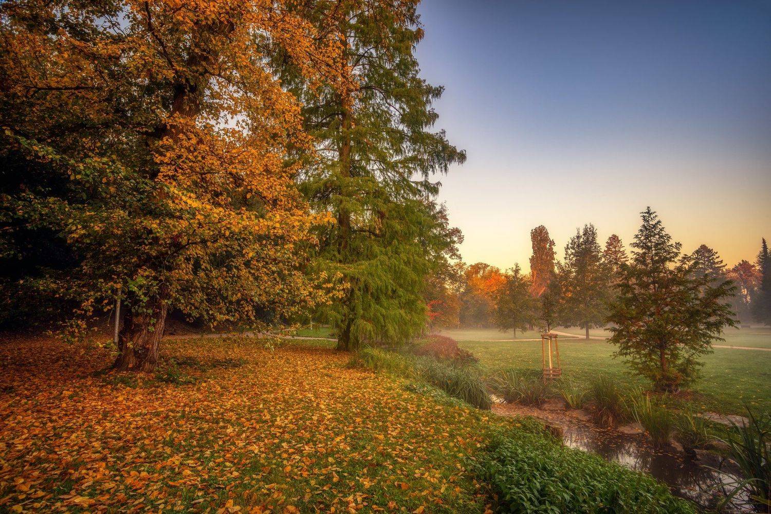 природа пейзаж вода туман утро рассвет осень небо солнце деревья отражения озеро парк, Андрей Ожерельев