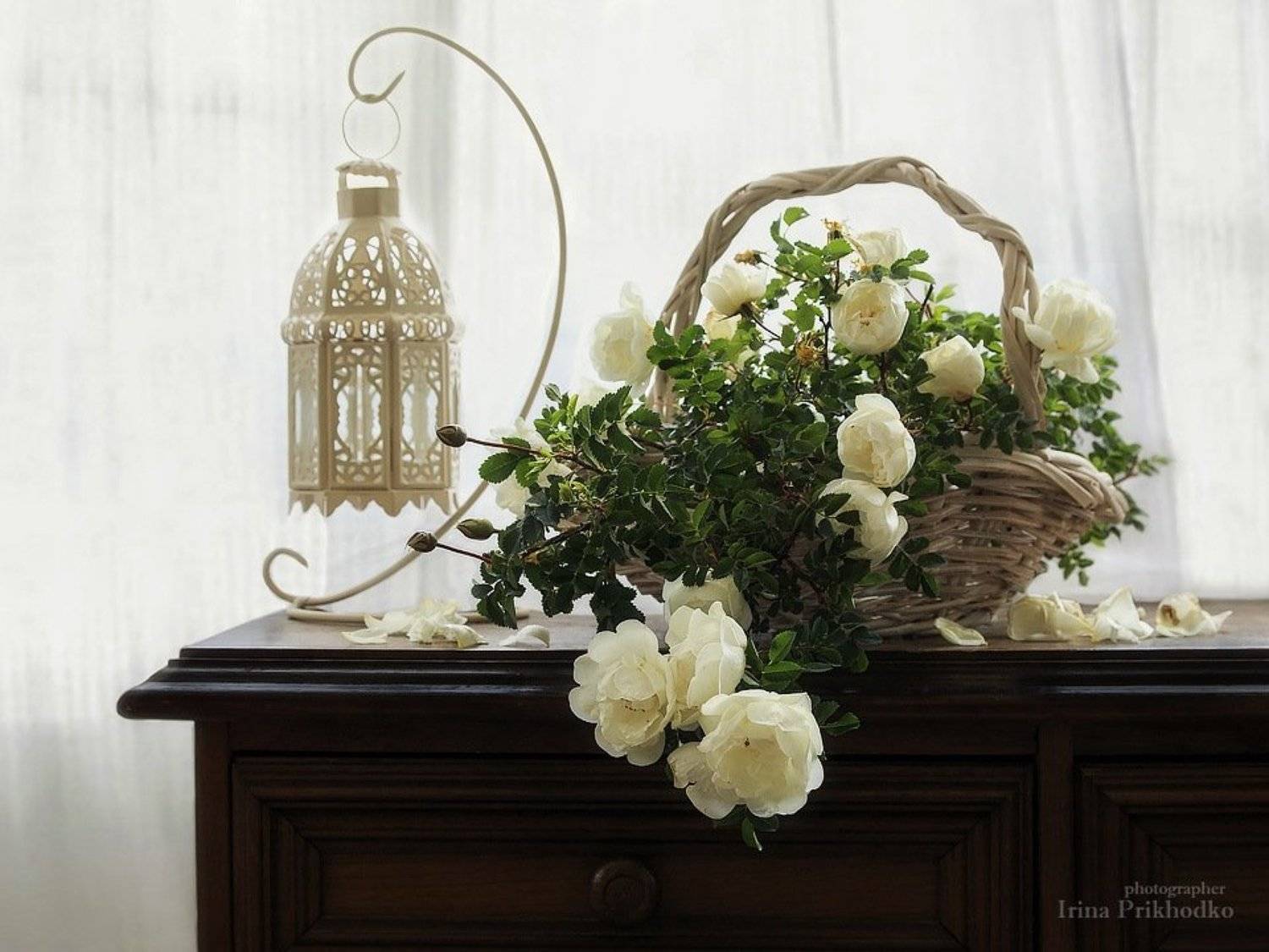 натюрморт, нежность, весна, розы, цветы, интерьер, Ирина Приходько