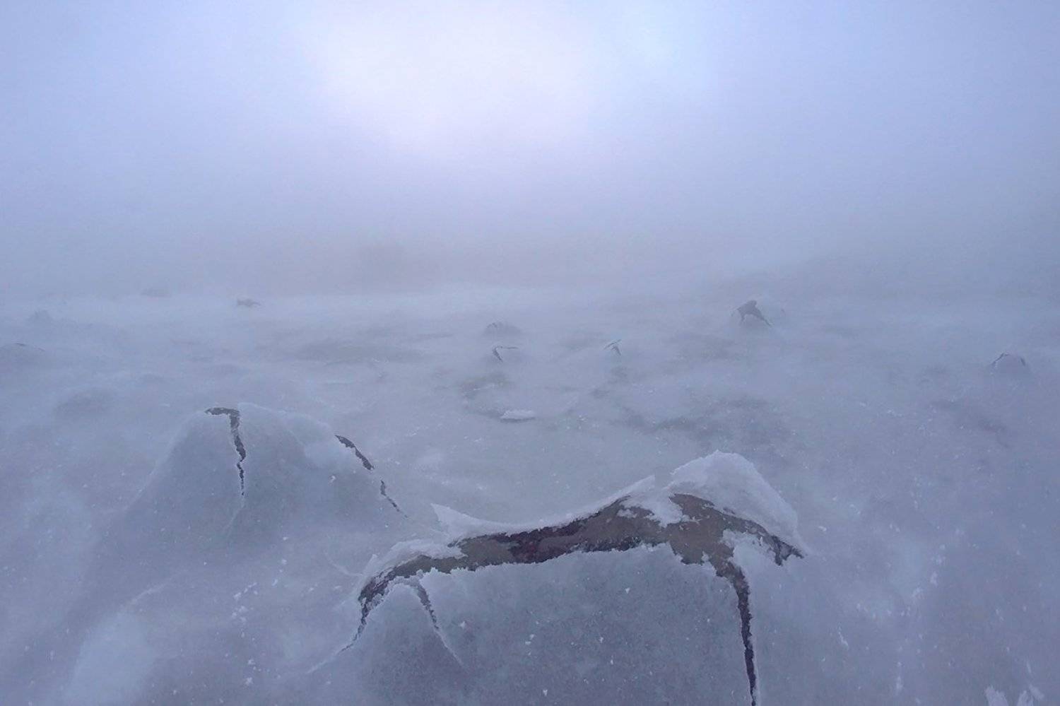 мурманск, кольский залив, Петр Косых