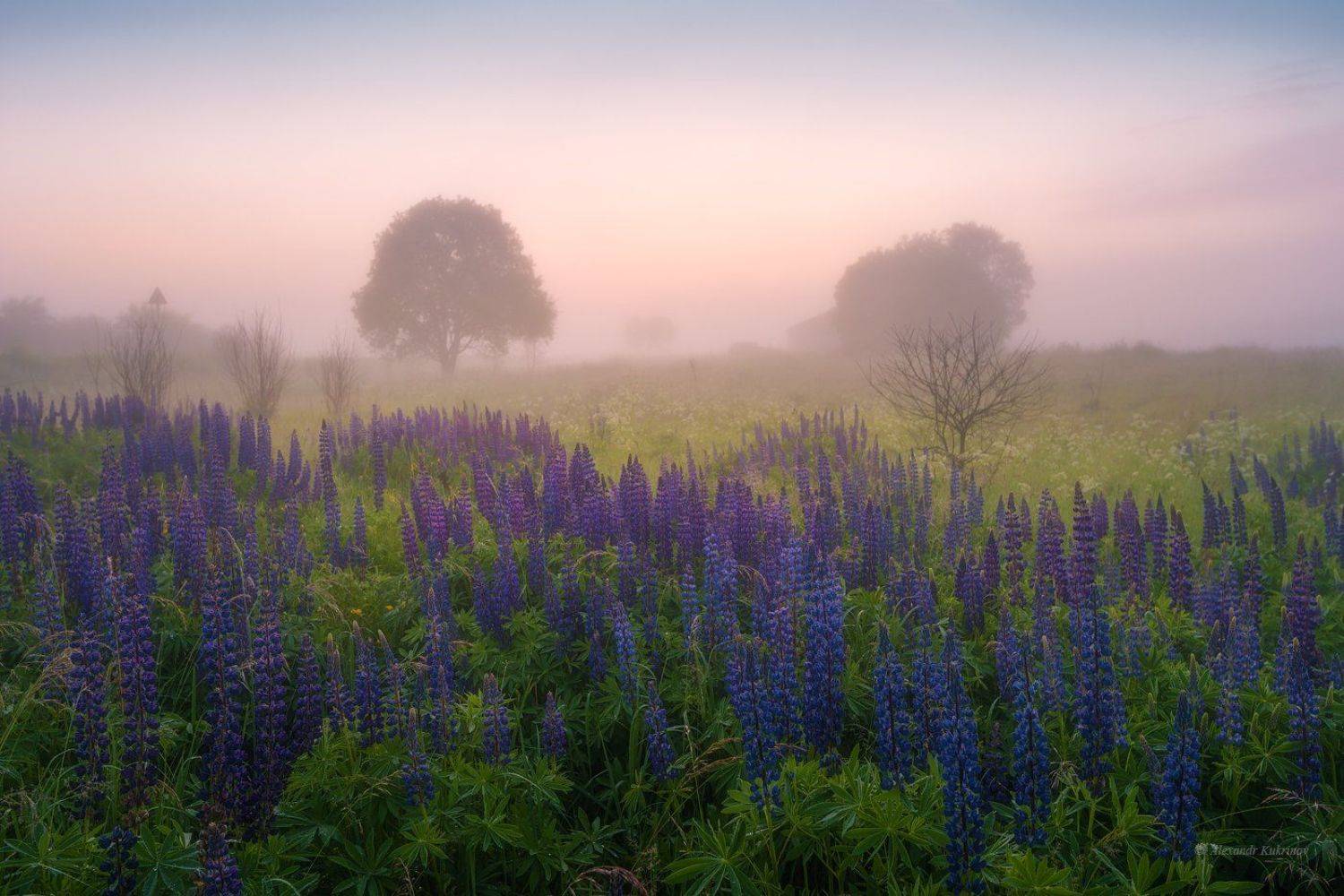 угра,рассвет,утро,пейзаж, Александр Кукринов