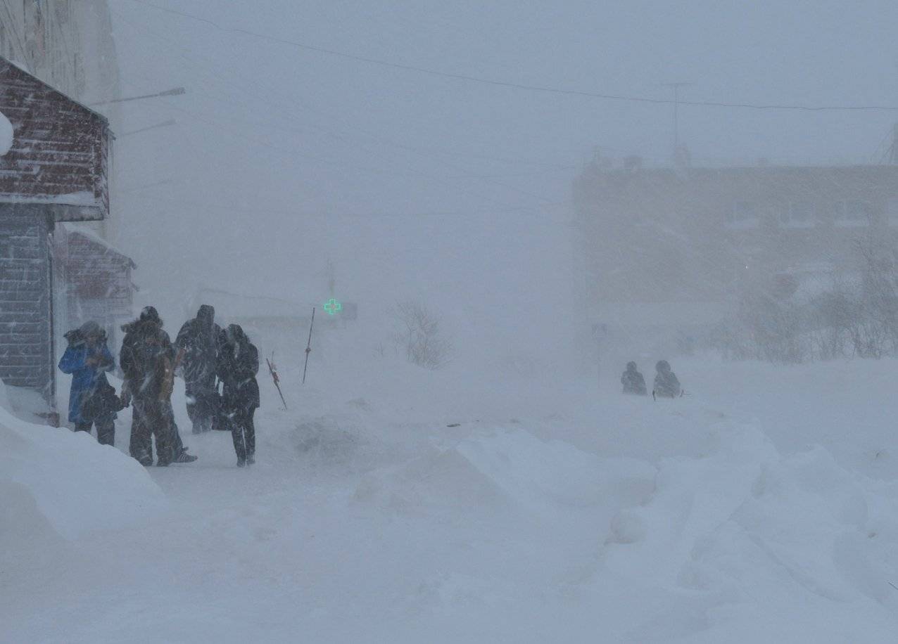 пурга, Vladimir