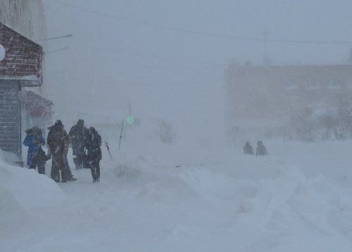Заметает