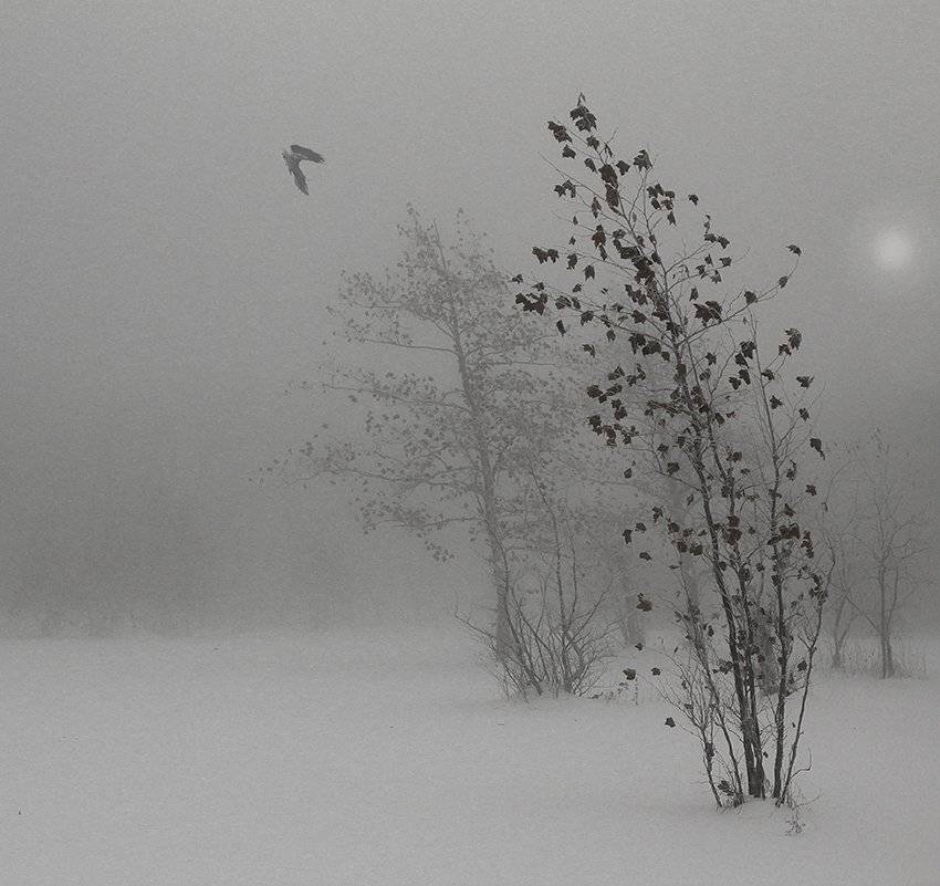 , Михаил  Пилипенко