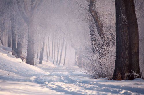 Февральское утро в Вилейке