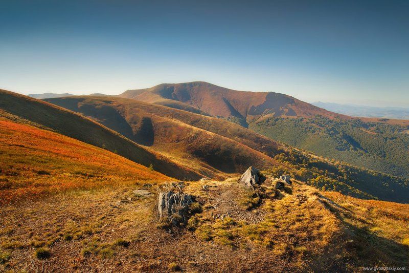 карпаты, горы, плюш, великий верх С видом на Великий Верх фото превью