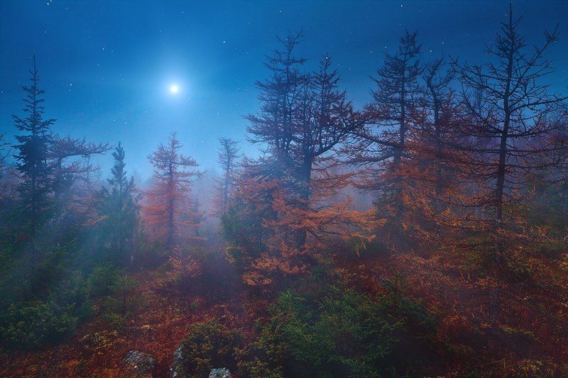 Голубая Луна фото превью