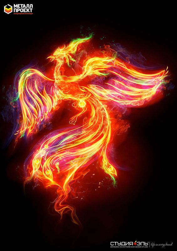 июль., жар-птица.  фото превью