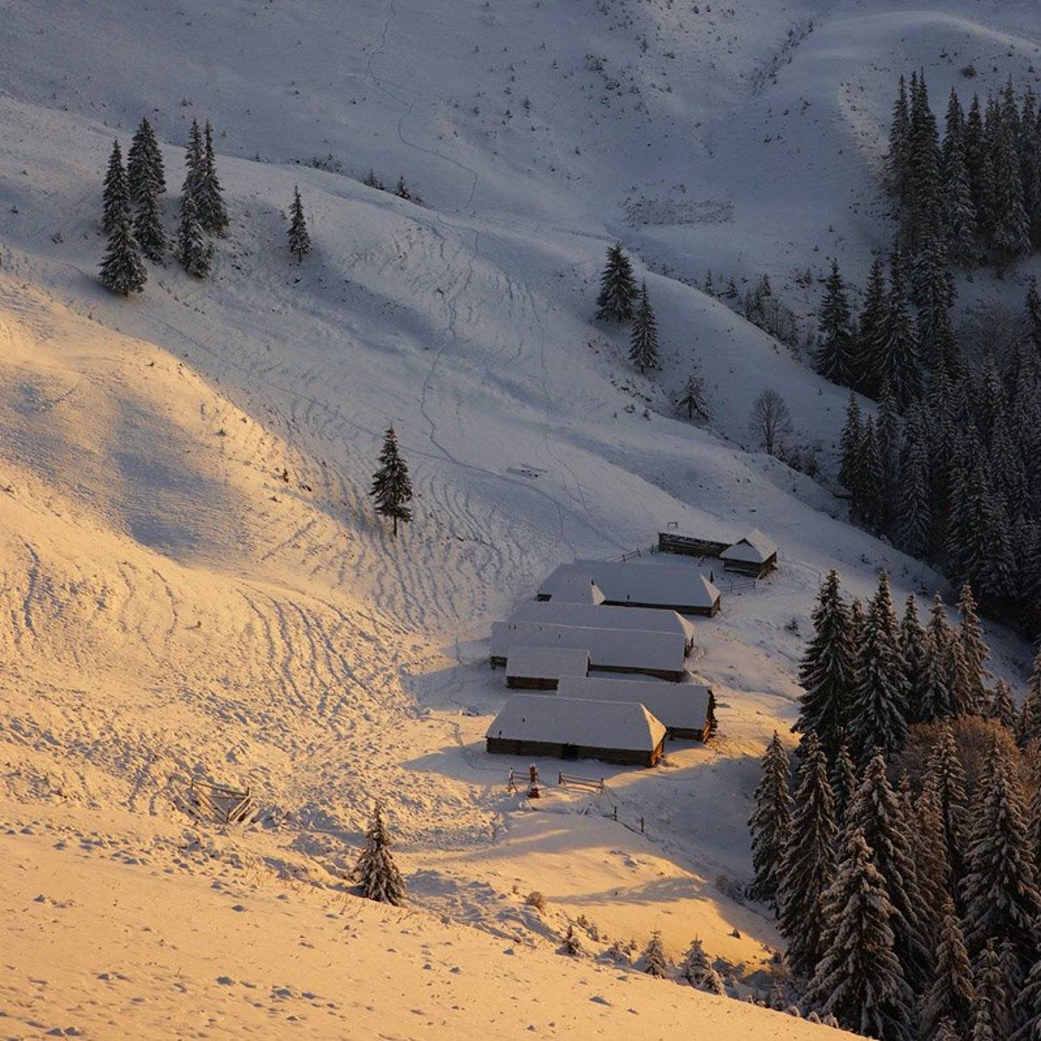 карпаты, колыбы,, Тарас