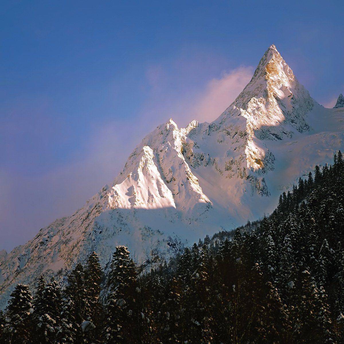 скалы, горы, лес, деревья, снег, зима, природа, пейзаж, Serj Master