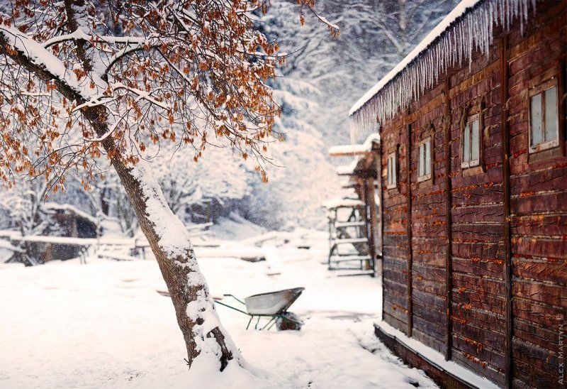 лосиный, остров, лесничество, сосульки, зима *** фото превью