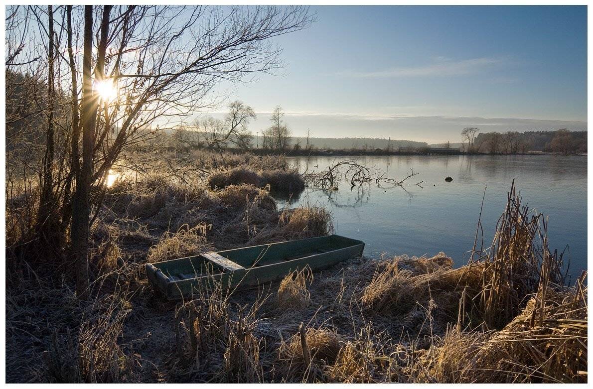, Николай Шахманцир