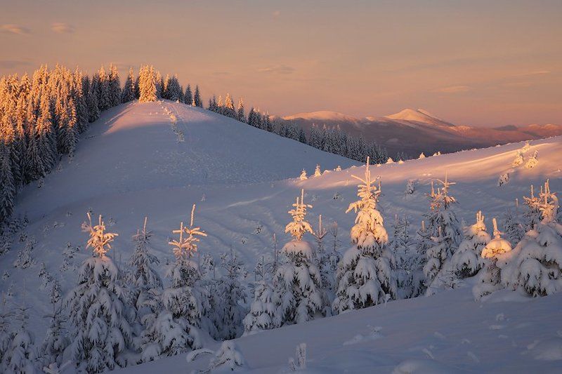 карпаты, *** фото превью