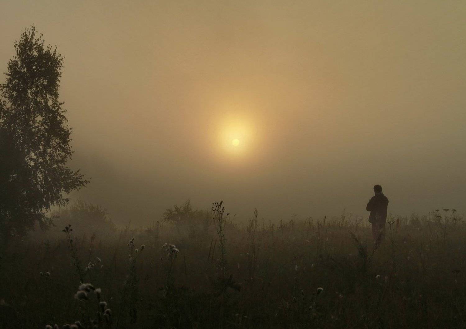 , Васенин Валерий