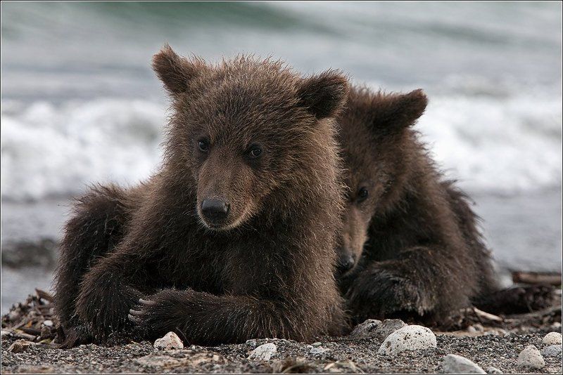 Старший фото превью