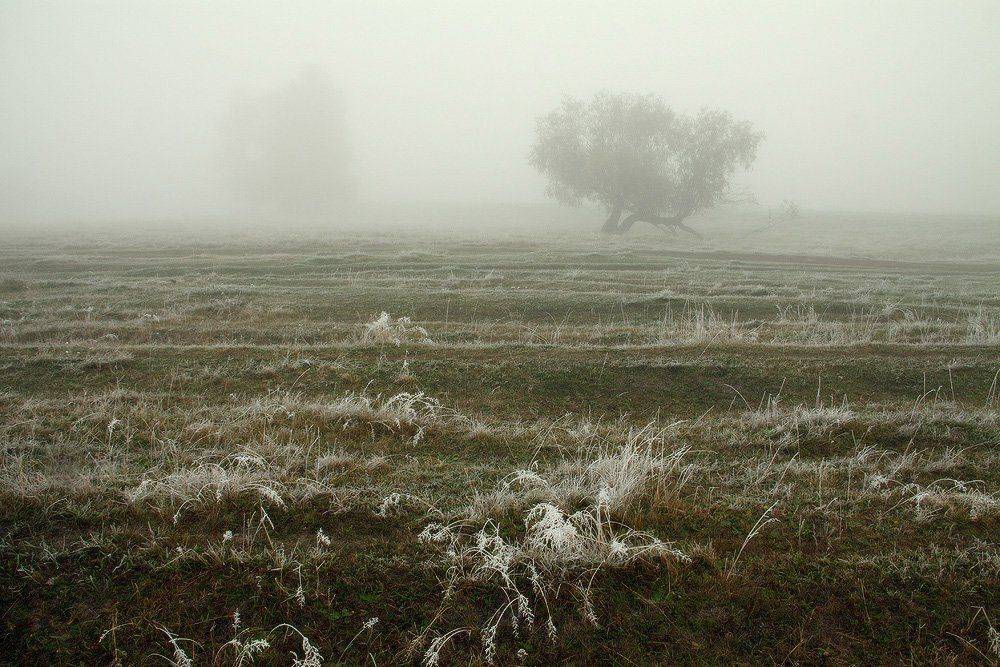 август-сентябрь, Николай Морский