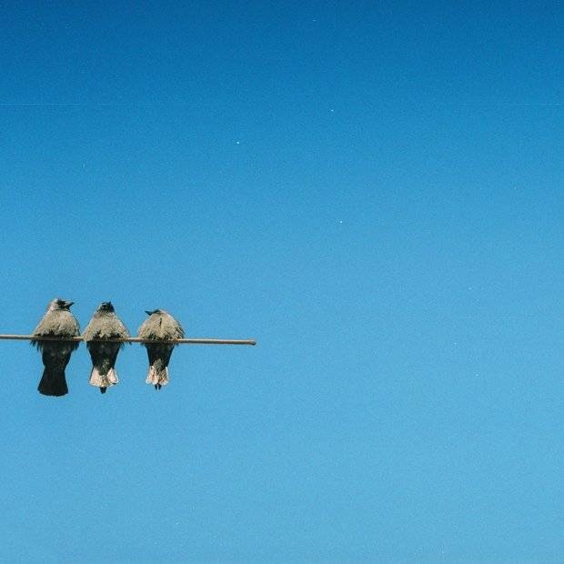 , dk