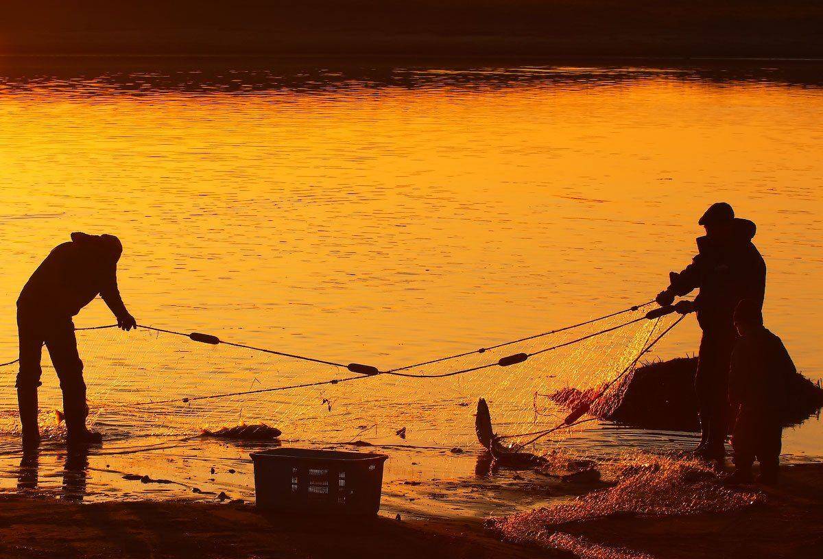 река, лосось, вечер, остров беринга, Utkin  Dmitriy