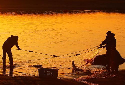 Золотая речка