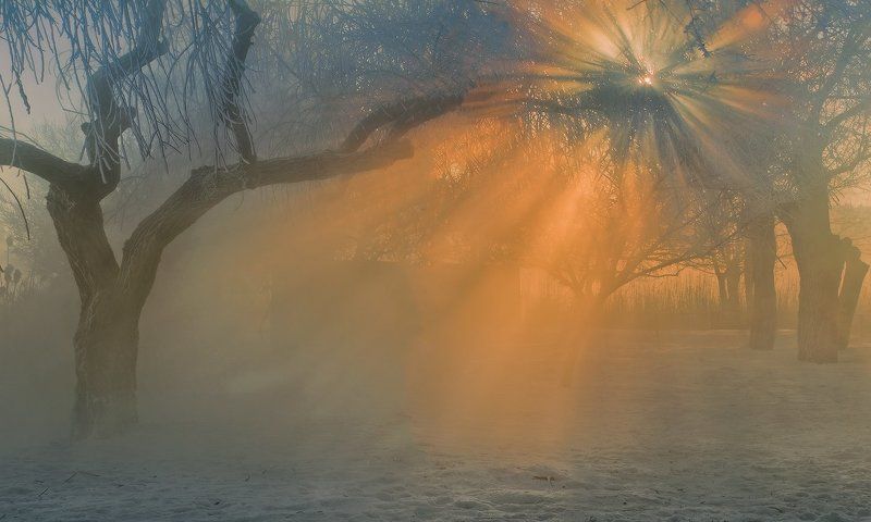 город, парк, зима река кубань МОРОЗНЫМИ ТРОПАМИ \