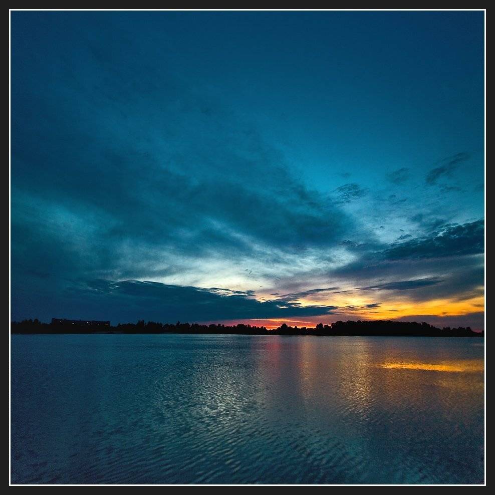 , Алексей Соловей