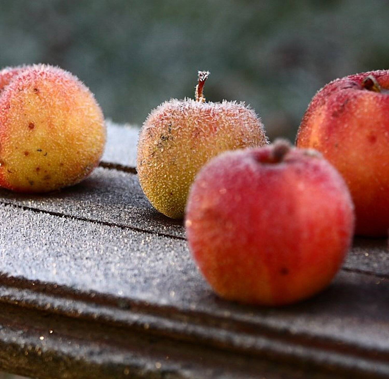 , Александр