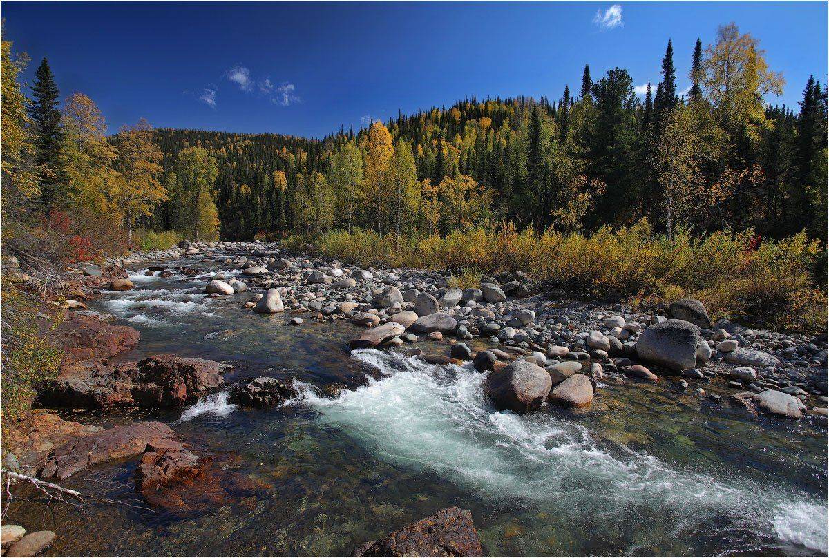 поднебесные, , зубья, Александр Устинович