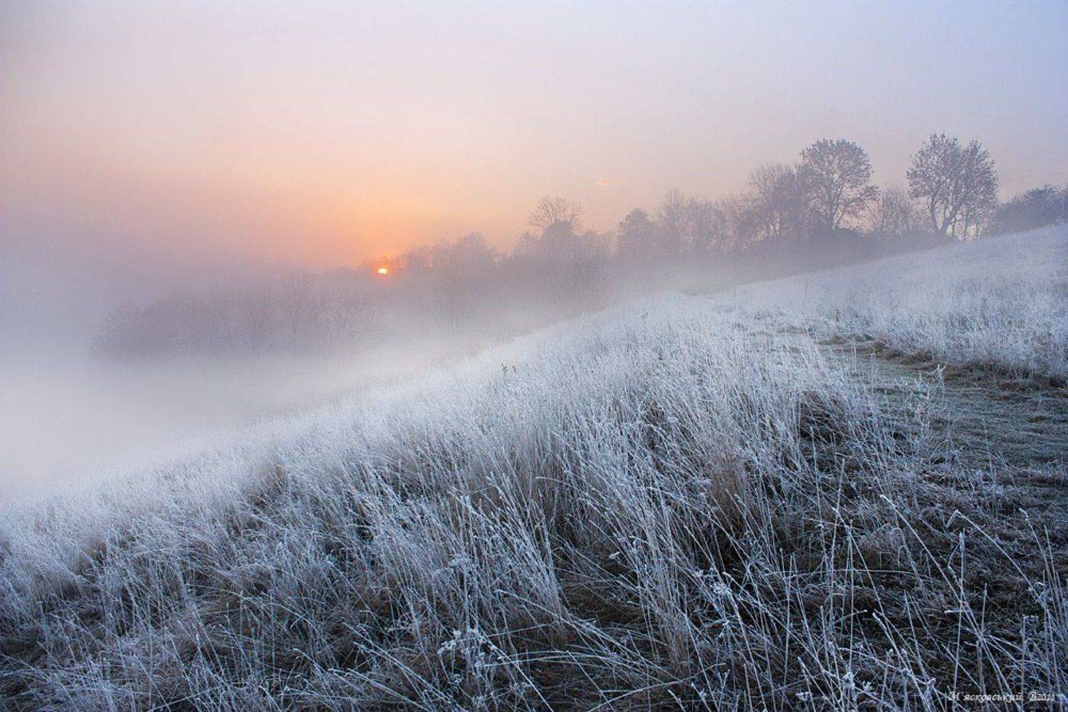 , Wolodymer Mjaskowskuj